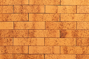 ТАЙГА МОРОШКА 1НФ ЛИКОЛОР