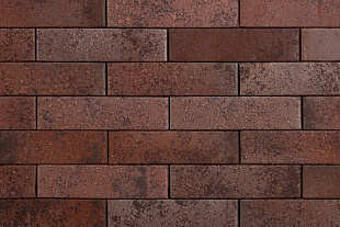 ТАЙГА МОРИОН СЕВЕР 0,5НФ ЛИКОЛОР 