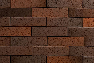 ТАЙГА МУСТАГ 1НФ ЛИКОЛОР