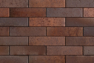 ТАЙГА МОРИОН ЮГ 0,5НФ ЛИКОЛОР 